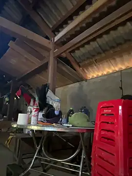 Snapshot of ThiHa003 chatting on January 18, 5:11 am ThiHa003 online show from January 18, 5:11 am