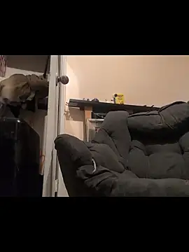 Snapshot of Cnutt310 chatting on December 14, 3:50 pm Cnutt310 online show from December 14, 3:50 pm