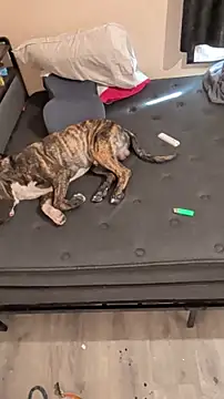 Snapshot of Cnutt310 chatting on March 2, 12:02 am Cnutt310 online show from March 2, 12:02 am