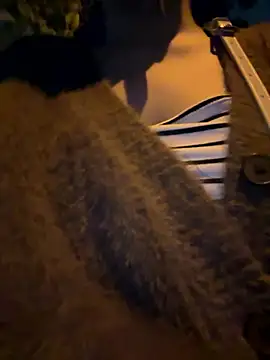 Meii-meyy online show from January 16, 2:54 pm