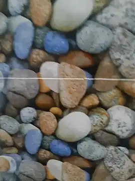 Snapshot of coocon2020 chatting on October 28, 1:31 am coocon2020 online show from October 28, 1:31 am