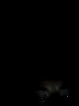 Xhimo5 online show from September 28, 8:31 am