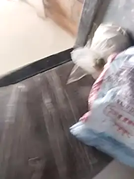 Snapshot of Wet_BunnyFun chatting on February 25, 10:03 am Wet BunnyFun online show from February 25, 10:03 am