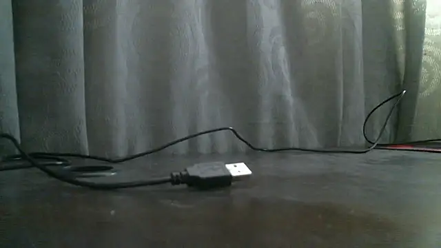  ari gato  online show from November 4, 3:11 pm