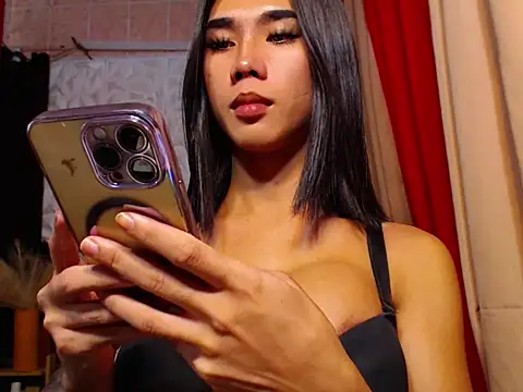 TRANSPORNIDOL online show from November 25, 4:56 am