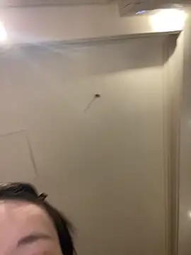 MengMeng0515 online show from March 11, 2:23 pm