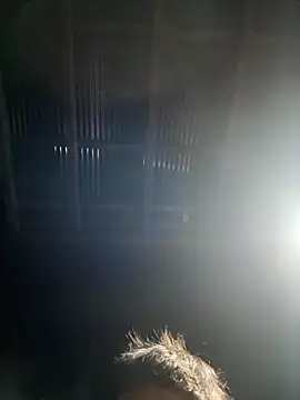 usu0130 online show from October 16, 2:07 pm