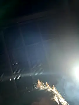 usu0130 online show from October 20, 1:55 pm