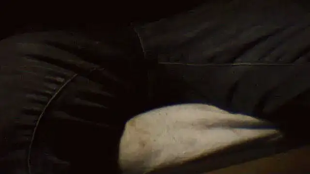 pietje1991 online show from March 25, 10:27 pm