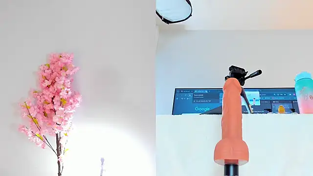 maily zanss online show from November 21, 7:23 pm