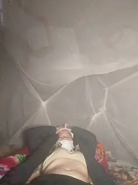 Snapshot of VangLe73 chatting on November 1, 9:22 am VangLe73 online show from November 1, 9:22 am