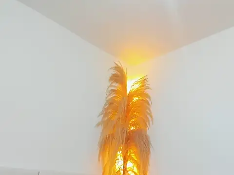 Kieran kian online show from February 14, 12:29 am