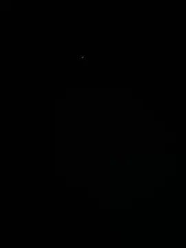 Leila  Saade online show from November 3, 10:38 am