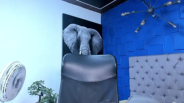 Snapshot of andres-clark92 chatting on October 26, 6:14 pm andres-clark92 online show from October 26, 6:14 pm