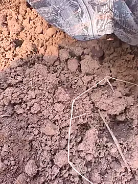 Snapshot of Hot_raaani chatting on November 7, 6:13 am Hot raaani online show from November 7, 6:13 am