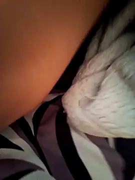 BooingCabalist online show from March 10, 5:45 am