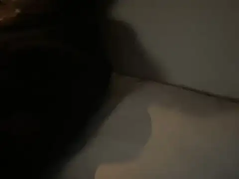 Snapshot of dddasani chatting on December 15, 6:45 pm dddasani online show from December 15, 6:45 pm