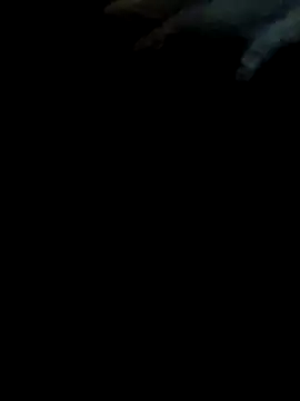 pollitaloca123 online show from November 7, 9:04 pm