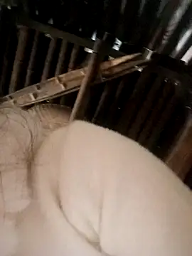 Bianly online show from November 15, 2:31 am