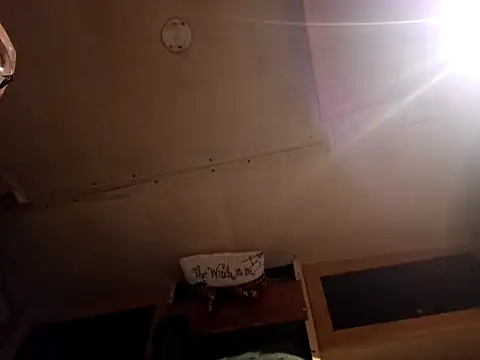 ShawnandDani7074 online show from March 28, 1:49 am