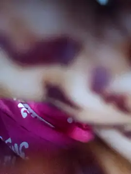 Exotic-bhabhi online show from April 19, 11:31 am