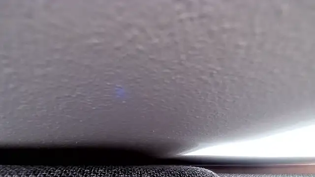 cucciolotto76 online show from November 26, 8:37 am