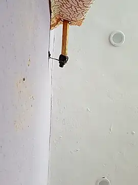 Snapshot of funcreat chatting on September 11, 11:54 am funcreat online show from September 11, 11:54 am