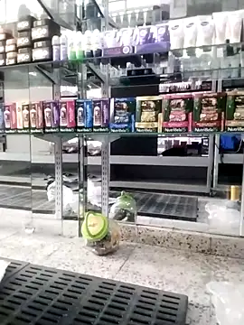 Katyuskka love online show from November 25, 4:51 pm