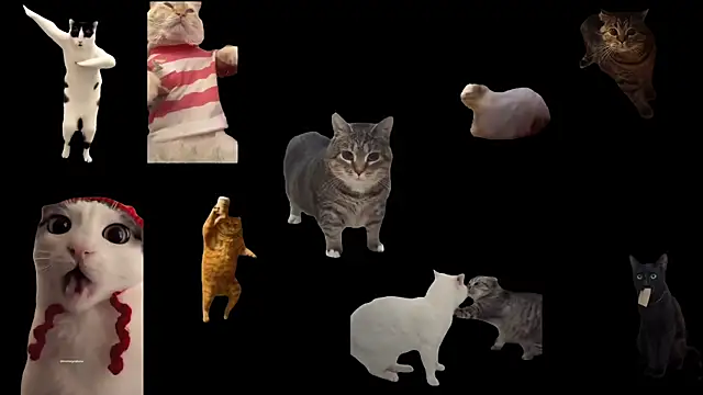 ch0wn m online show from September 20, 11:55 am