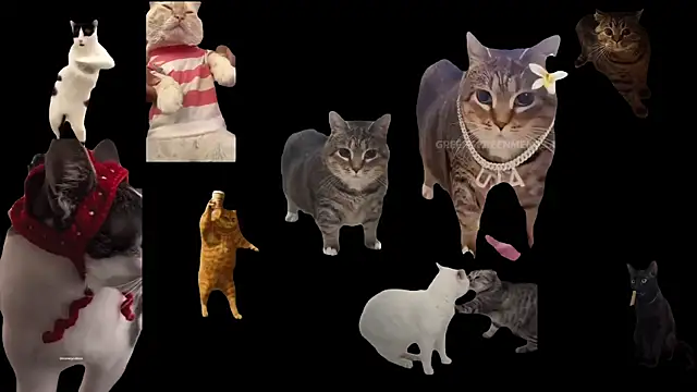 ch0wn m online show from October 3, 12:46 pm