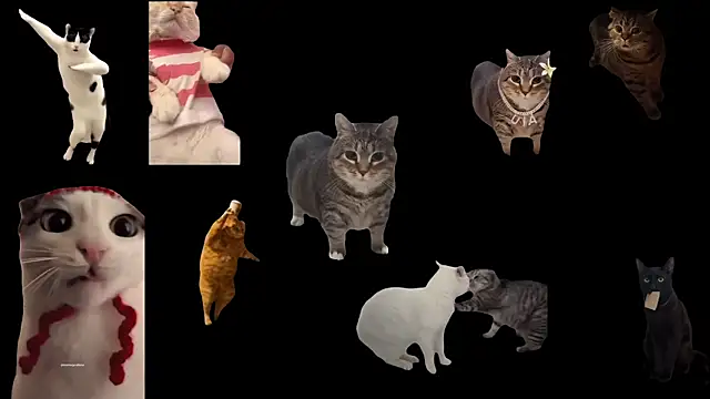 ch0wn m online show from November 14, 1:21 pm