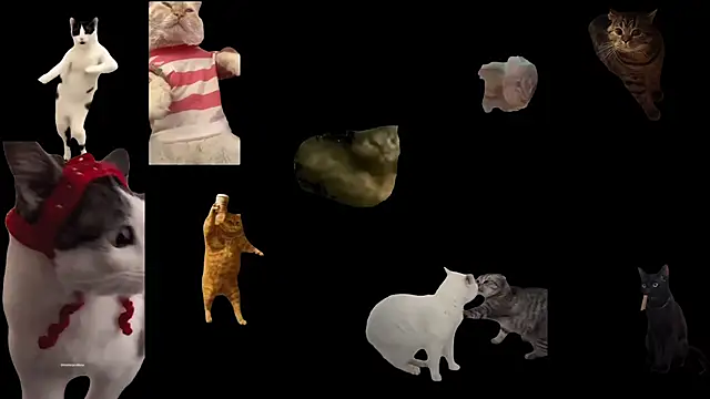 ch0wn m online show from November 18, 3:38 pm