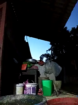 Bibilenu online show from October 19, 11:00 am