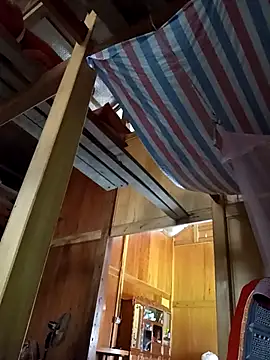 Bibilenu online show from November 15, 6:33 am