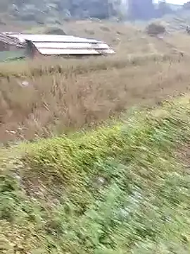 Snapshot of Phuongphuongg chatting on October 20, 2:23 am Phuongphuongg online show from October 20, 2:23 am