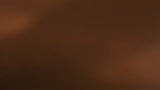 WILD FIREE  online show from October 12, 8:19 pm