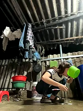 Sunny lotus online show from October 20, 11:54 am