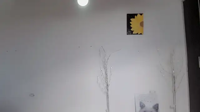 Stein  online show from September 15, 1:55 pm