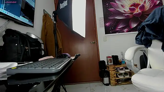 lycoris 19 online show from October 23, 8:40 pm