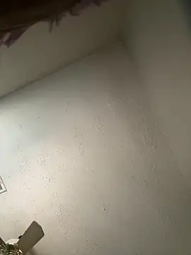 Snapshot of honestlychina chatting on October 3, 1:52 pm honestlychina online show from October 3, 1:52 pm