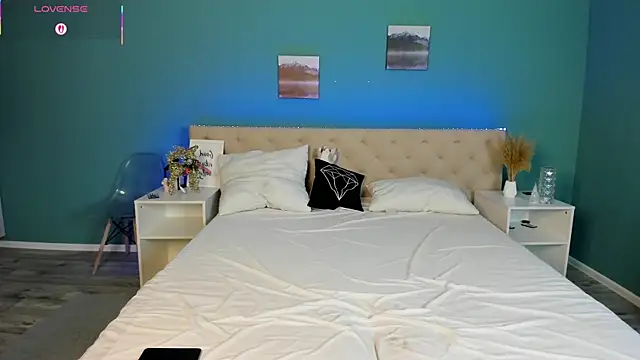 Ameli Shell online show from January 14, 9:15 am