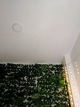 RosseCollins online show from November 9, 12:20 am