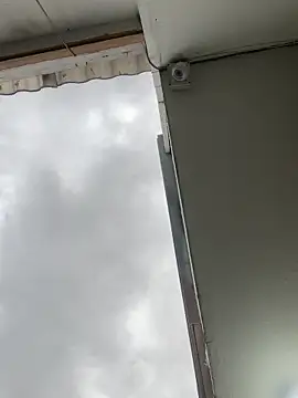 Sallem Pink online show from November 20, 11:10 am