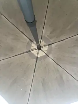 Sallem Pink online show from March 6, 11:17 am