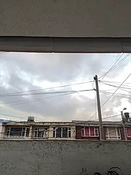 Sallem Pink online show from March 20, 11:15 am