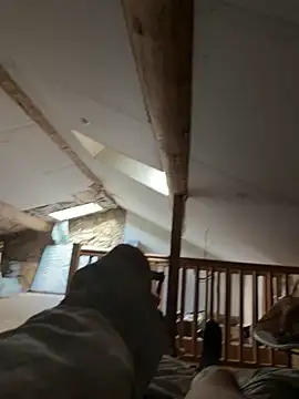 carapace31 online show from February 27, 3:23 pm