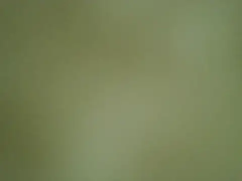 Quarentaoon online show from October 4, 3:32 pm