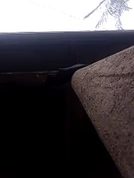 Snapshot of lady_helen00 chatting on November 15, 6:55 am lady helen00 online show from November 15, 6:55 am