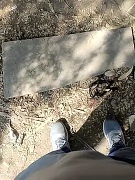 Snapshot of indian_pavi chatting on January 19, 5:55 am indian pavi online show from January 19, 5:55 am