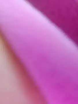 Snapshot of ShineBright88 chatting on October 30, 12:06 pm ShineBright88 online show from October 30, 12:06 pm